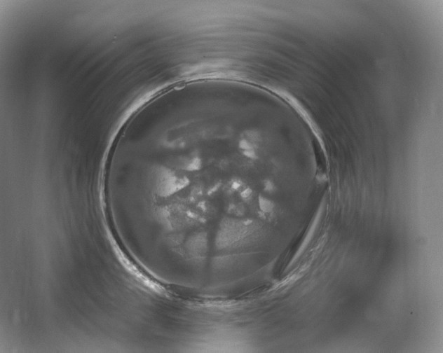 X0000063510957200601201435