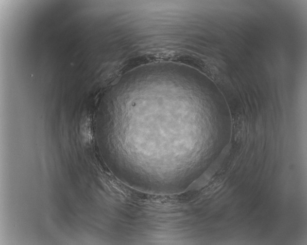 X0000063510962200601201434