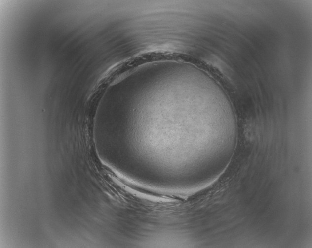 X0000063510968200601201434
