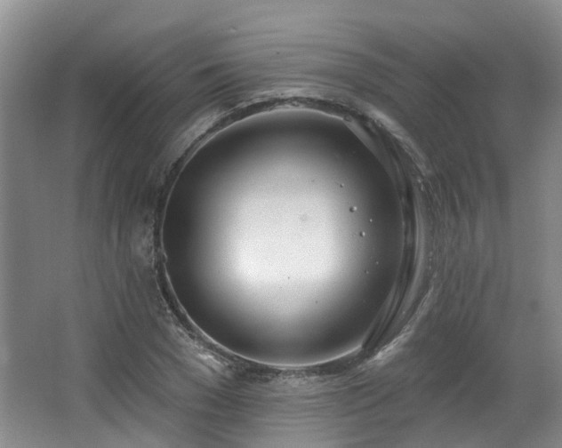 X0000063510977200601201434