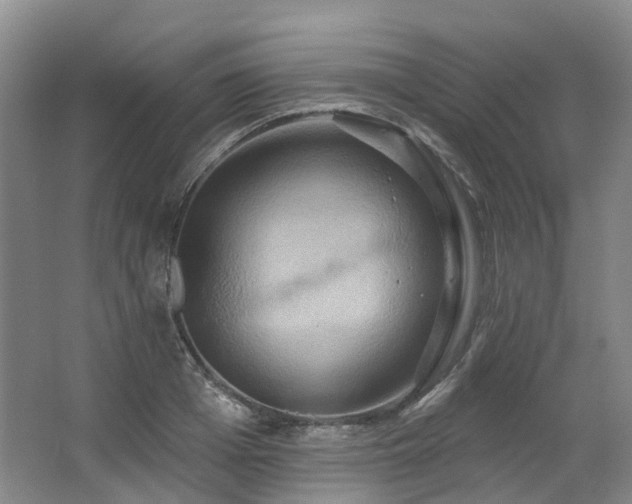 X0000063510985200601201434