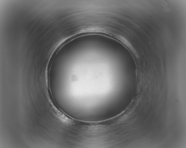 X0000063510988200601201434