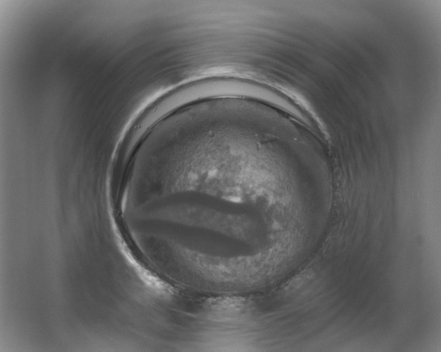 X0000063510991200601201434
