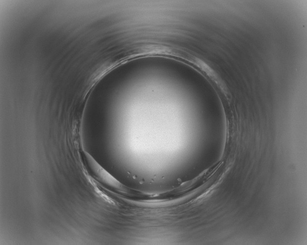 X0000063511001200601201434