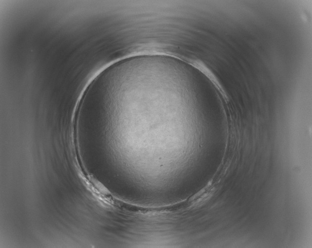 X0000063511004200601201434