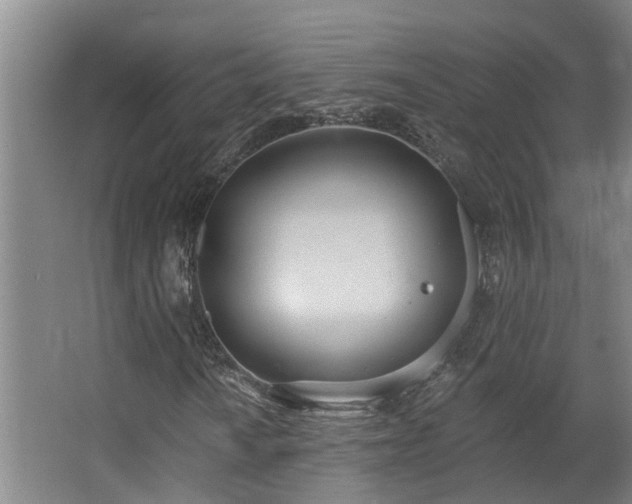 X0000063511010200601201433