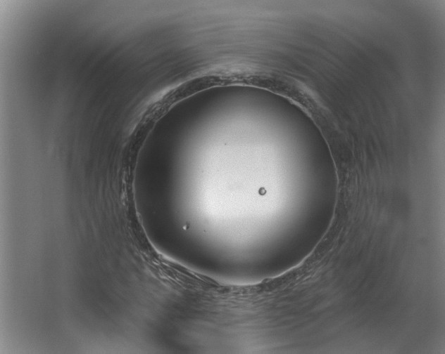 X0000063511016200601201433