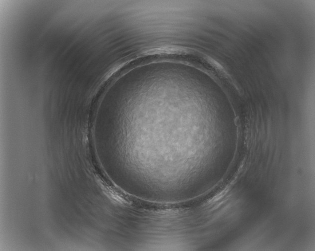 X0000063511017200601201433