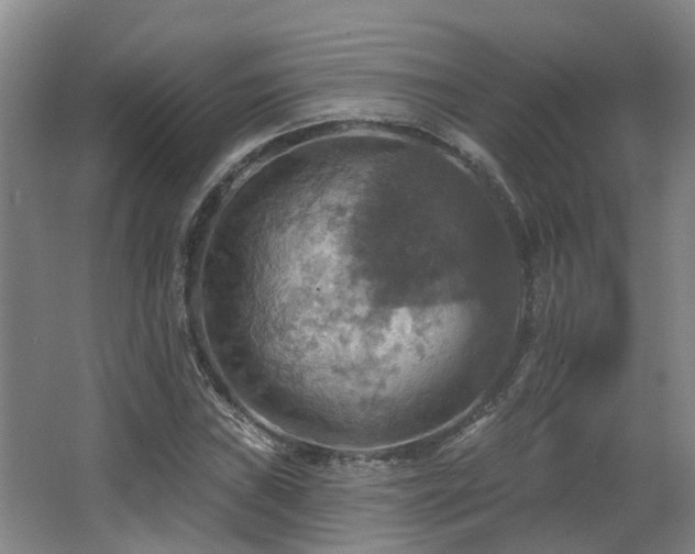 X0000063511019200601201433