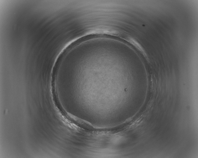 X0000063511020200601201433