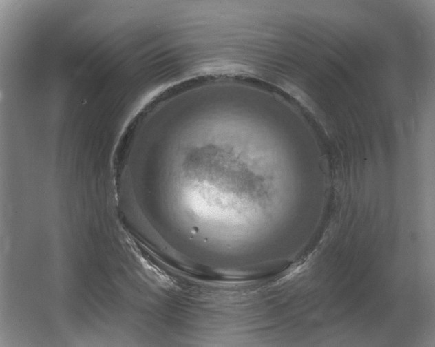 X0000063511022200601201433