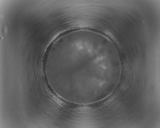 X0000063511023200601201433