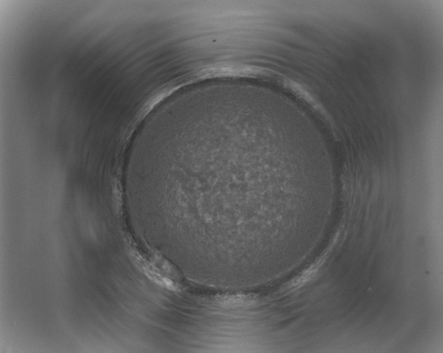 X0000063511025200601201433