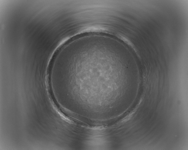 X0000063511029200601201433