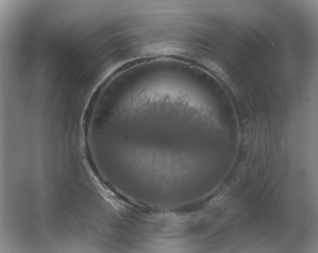 X0000063511031200601201433