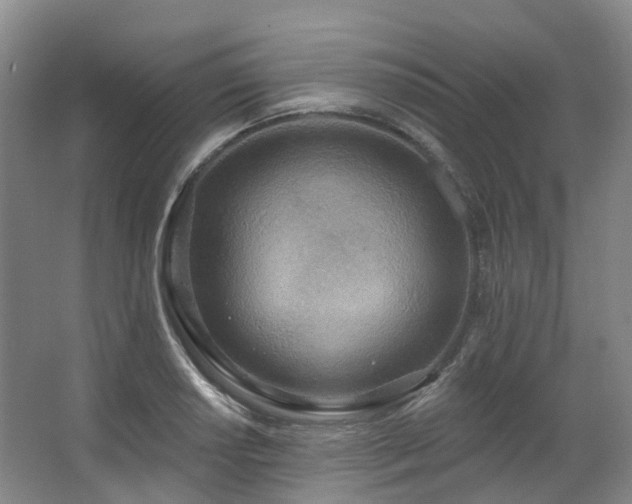 X0000063511034200601201433