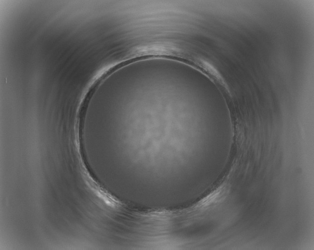 X0000063511035200601201433