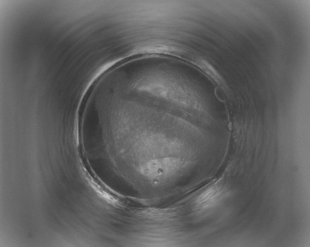 X0000063511036200601201433