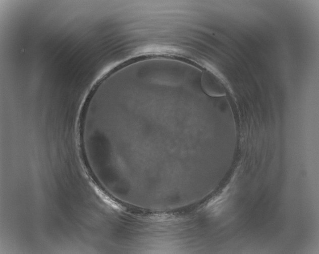 X0000063511037200601201433