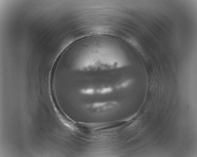 X0000063511039200601201433