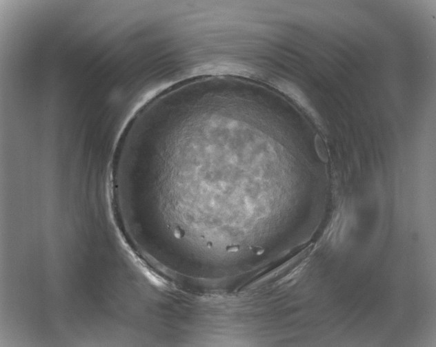 X0000063511040200601201433