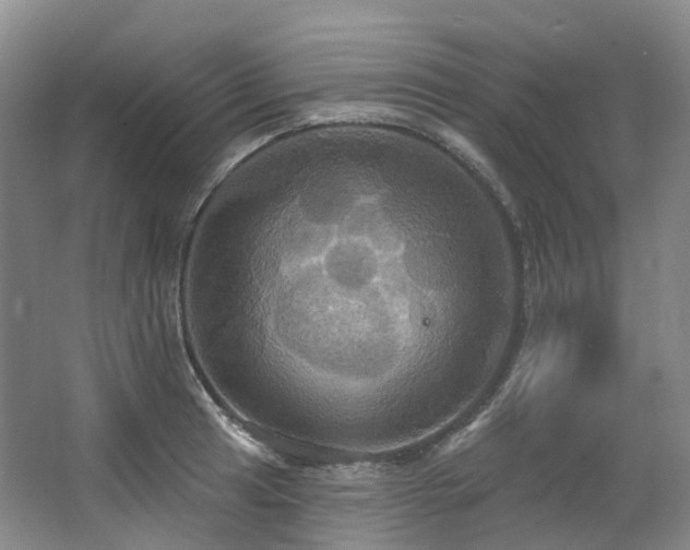 X0000063511041200601201433