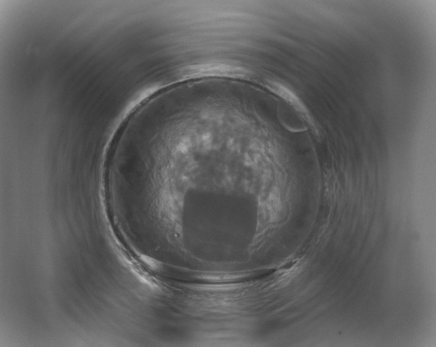 X0000063511043200601201433