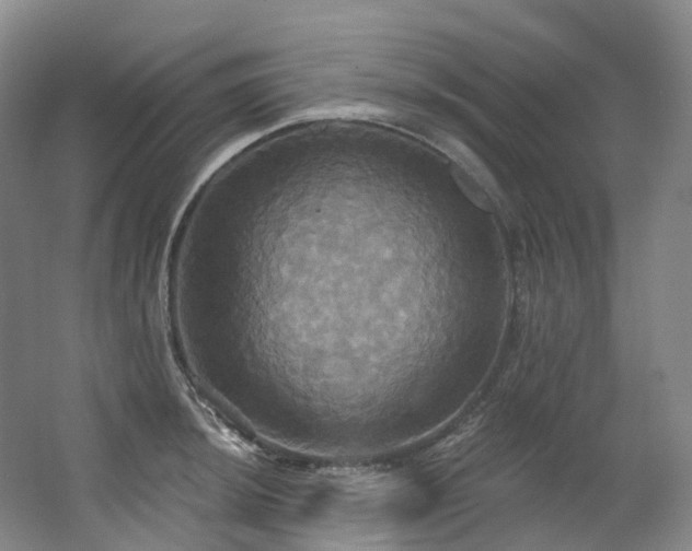 X0000063511044200601201433