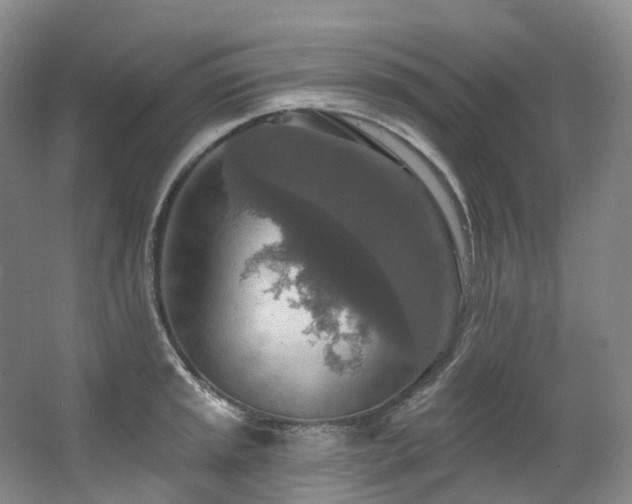 X0000063511045200601201434