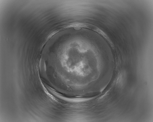 X0000063511049200601201434