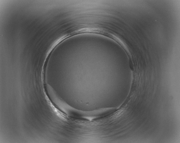 X0000063511050200601201434