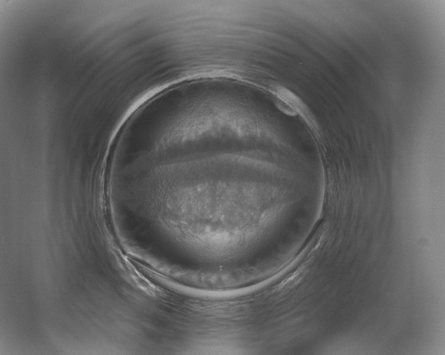 X0000063511052200601201434
