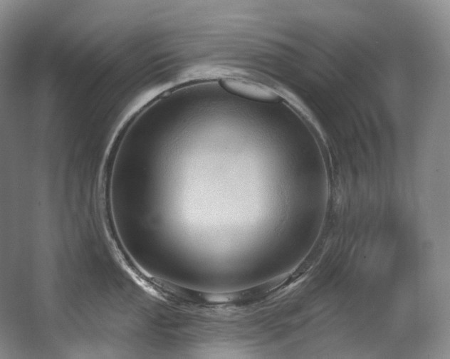 X0000063511053200601201434