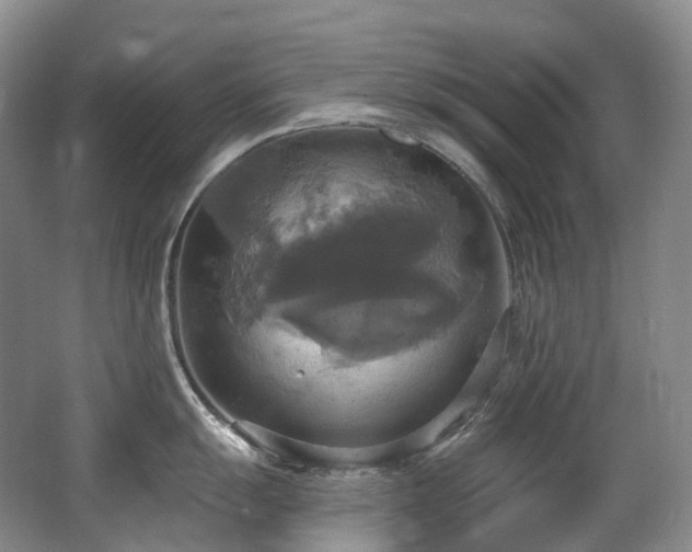 X0000063511055200601201434