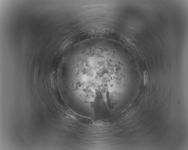 X0000063511059200601201433