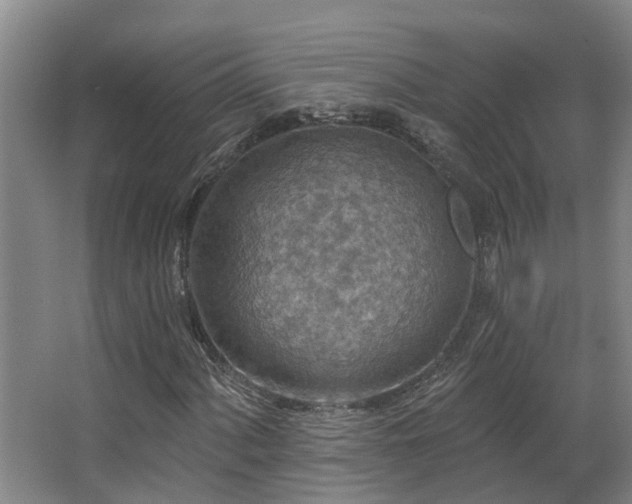 X0000063511060200601201433