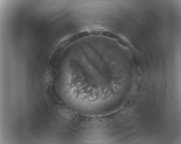X0000063511063200601201433