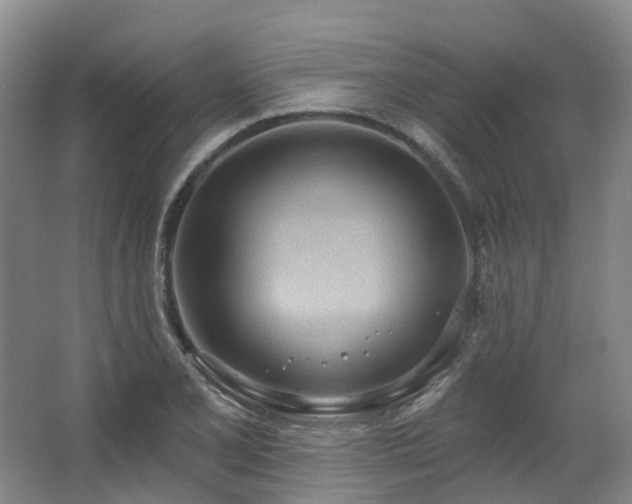 X0000063511077200601201433