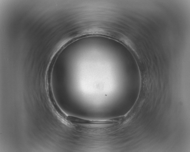 X0000063511082200601201432
