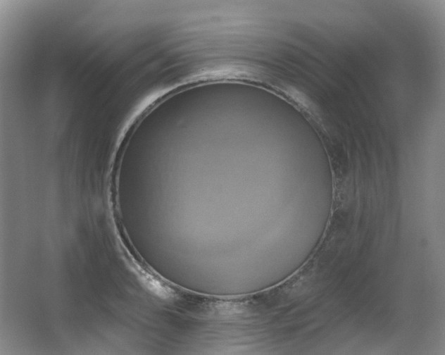 X0000063511086200601201432