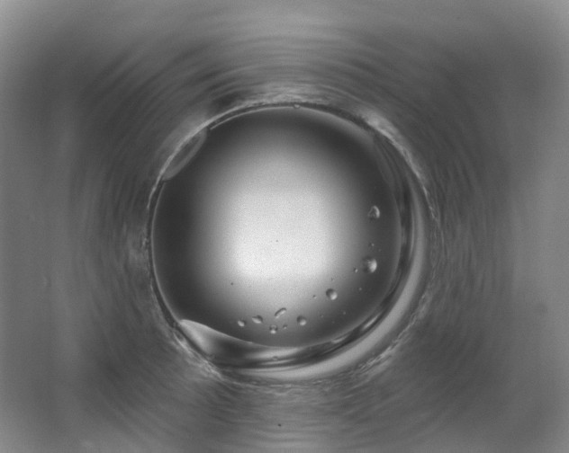 X0000063511089200601201432