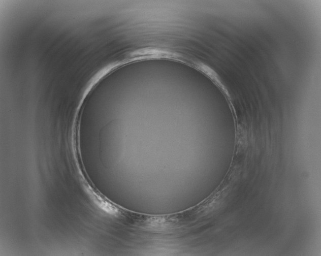 X0000063511098200601201432
