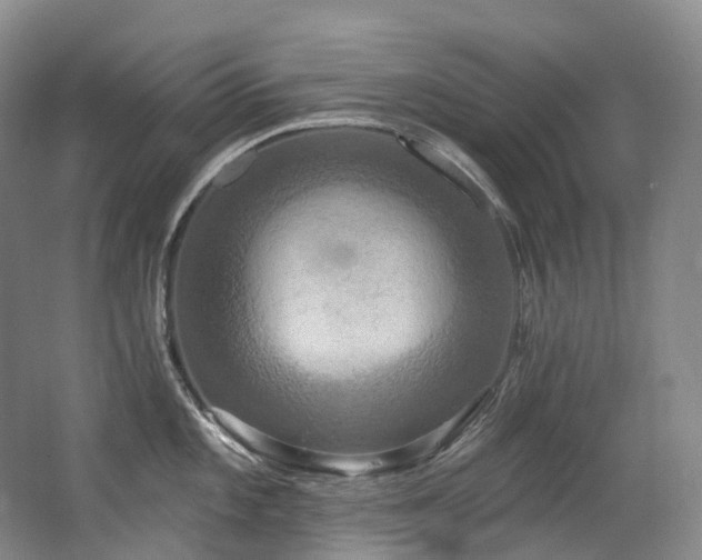X0000063511101200601201432