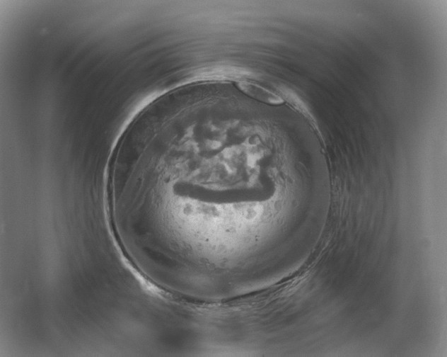 X0000063511103200601201432