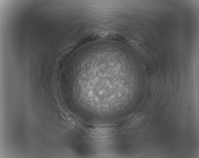 X0000063511105200601201431