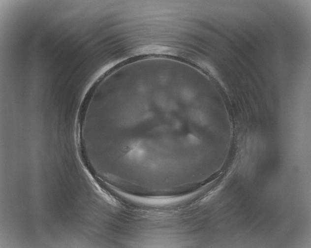 X0000063511125200601201432