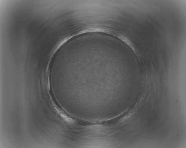 X0000063511127200601201432