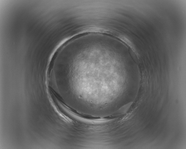 X0000063511128200601201432