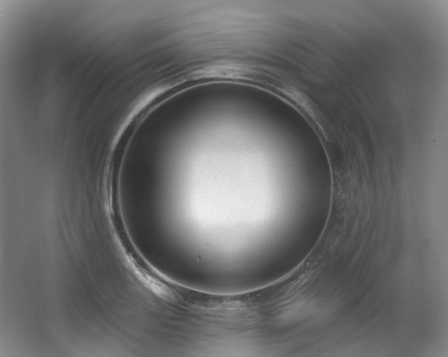 X0000063511131200601201432