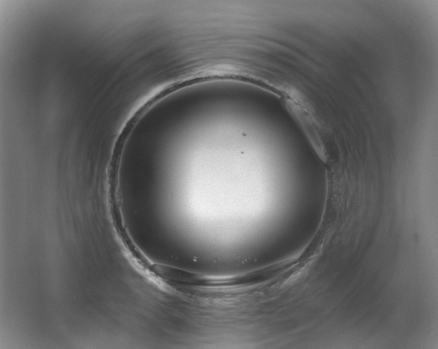 X0000063511134200601201432